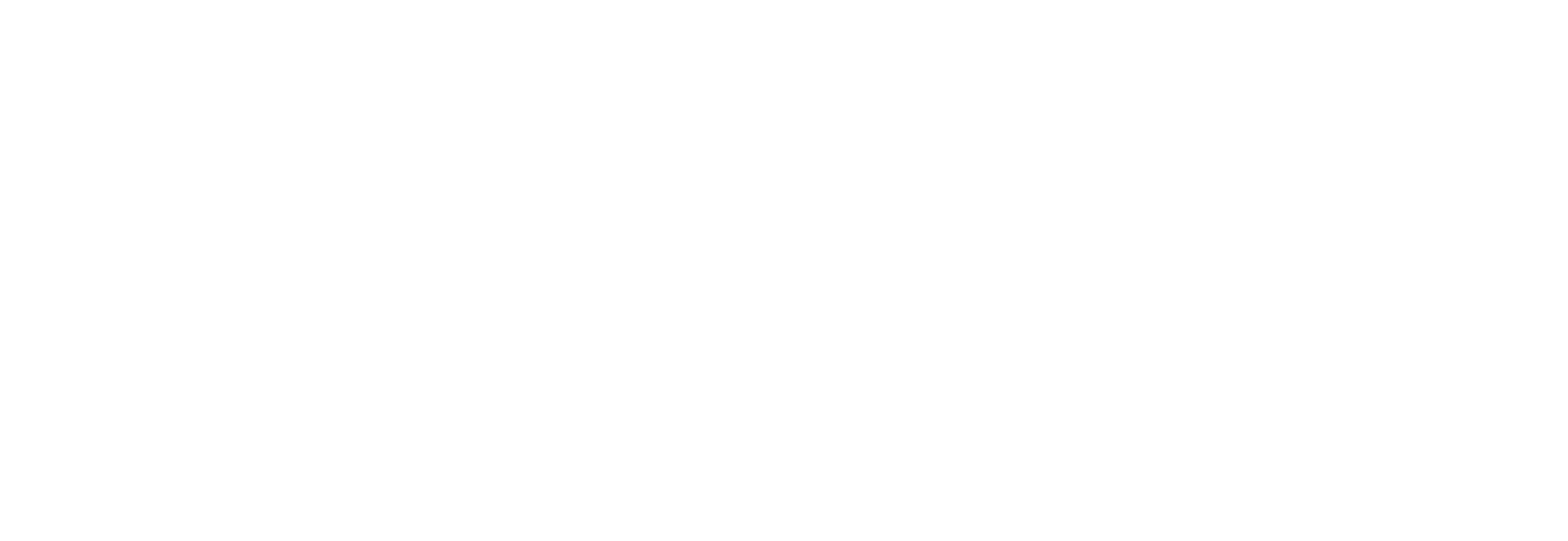 Netzwoche-logo-01